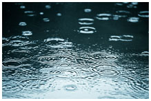 Rain drops in a puddle