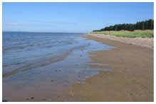 A beach with the tide out