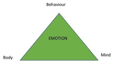 The Emotion Triangle