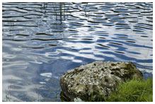 A rock next to a still pond