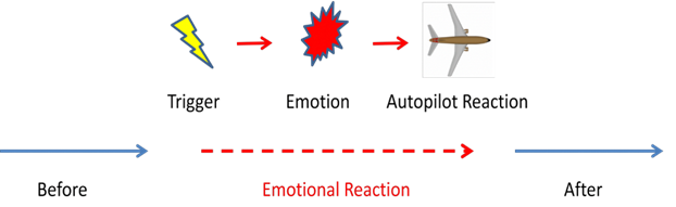 Emotional reactions graphic
